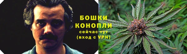 шишки Богородск