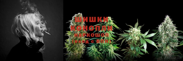 шишки Богородск