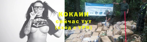 соль ск Богданович
