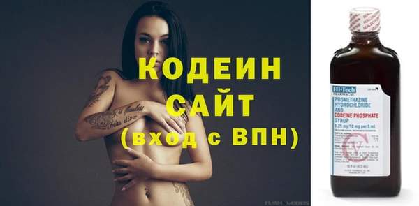 шишки Богородск