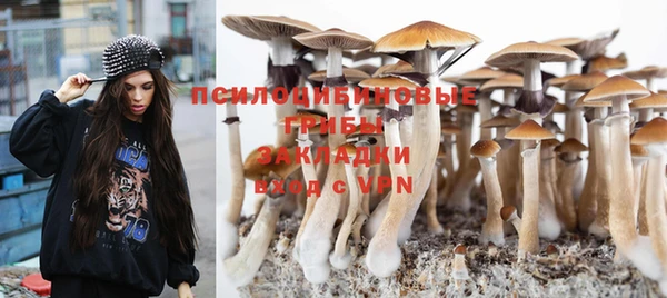 соль ск Богданович
