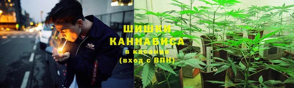 шишки Богородск
