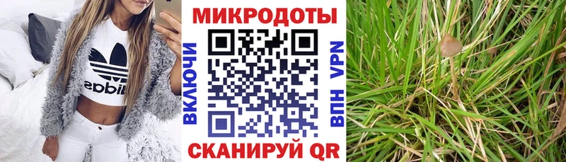 Псилоцибиновые грибы MAGIC MUSHROOMS  Городец 