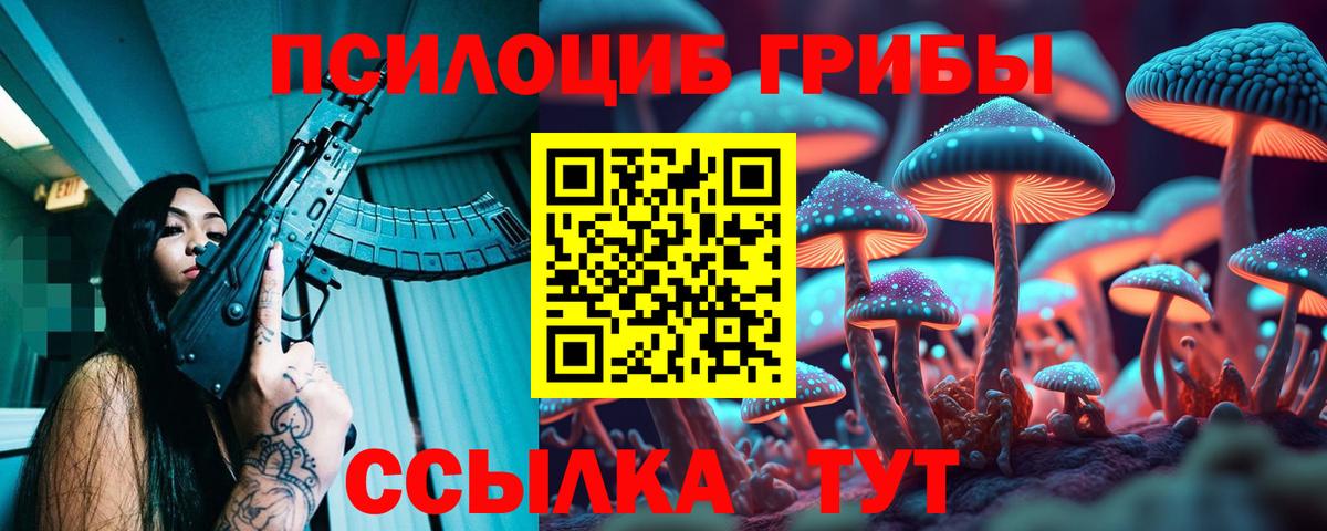 Галлюциногенные грибы мицелий  купить наркотик  Городец  Галлюциногенные грибы мицелий  Вход с VPN 