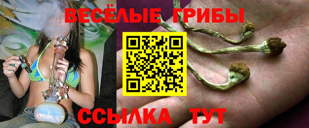 Псилоцибиновые грибы мицелий Городец